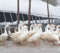 包含溳#W燚J6pB鬭鈪-爱游戏官网